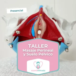Taller Presencial Masaje Perineal | Viernes 11 de Septiembre | 17:30h