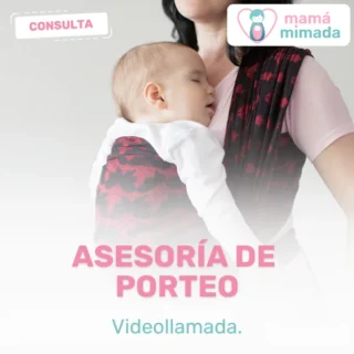 Asesoría de porteo