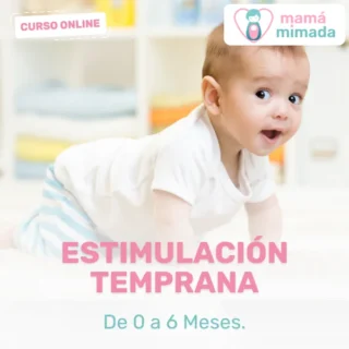 Curso estimulación temprana de 0 a 6 meses